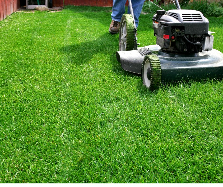 Lawn Care & Maintenance